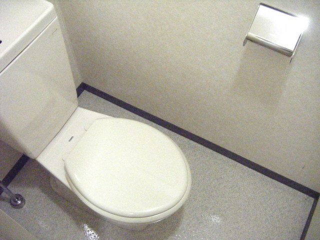 Toilet. Toilet