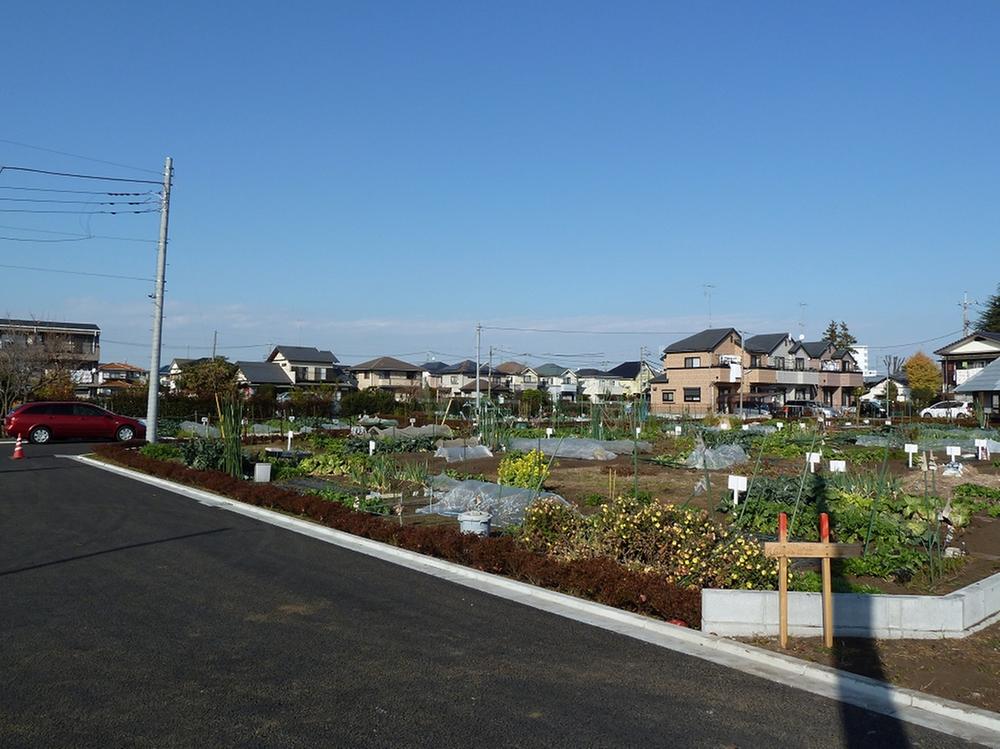 Other. State of the adjoining land (12 May 2013) Shooting