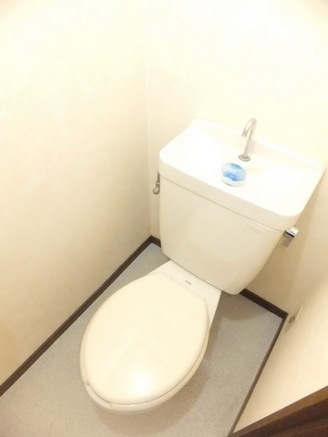Toilet. toilet