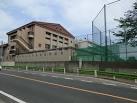 Junior high school. Tadao 650m until junior high school