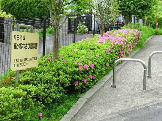 Other. Kokezaka wasabi fields park 110m