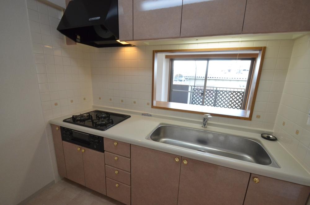 Kitchen. Indoor (11 May 2013) Shooting