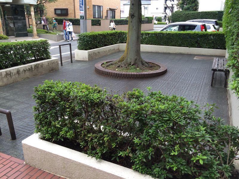 Other common areas. On-site open space