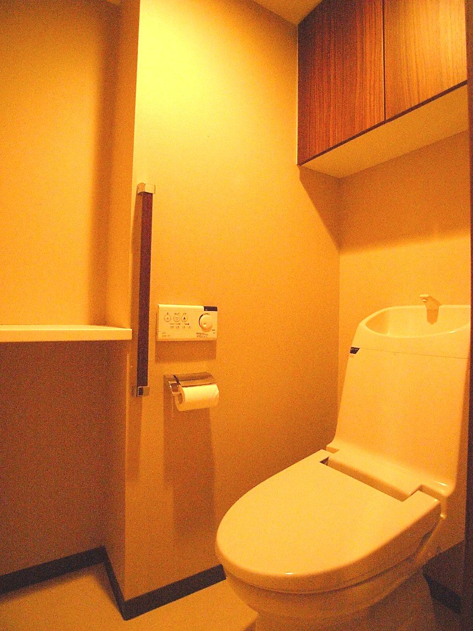 Toilet. Warm water washing toilet seat with toilet (10 May 2013) Shooting