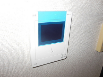 Security. Monitor with intercom