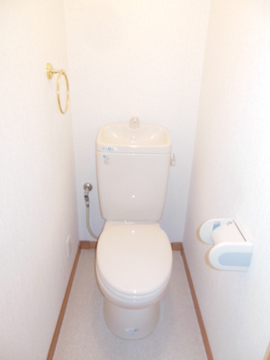 Toilet. Western-style toilet