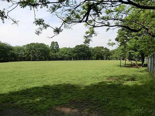 Other. Tsuruma park 800m