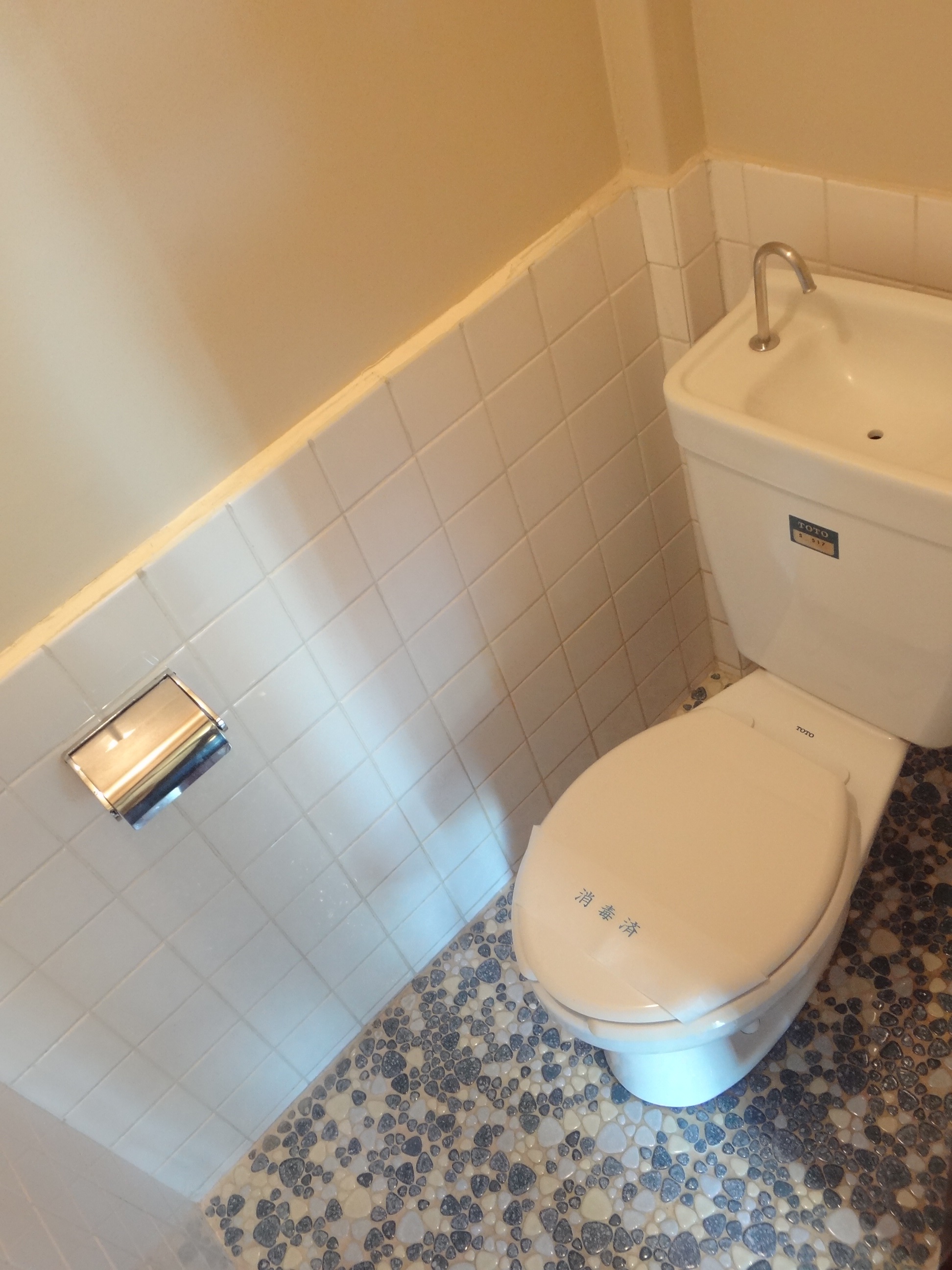 Toilet