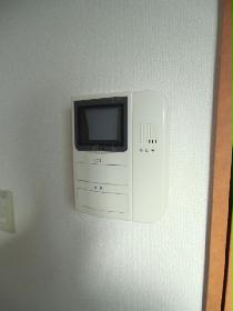 Other. monitor