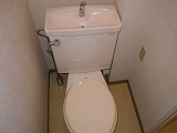 Toilet. Toilet
