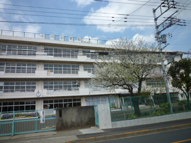 Primary school. Ogawa Elementary School About 230m until the (elementary school) 230m