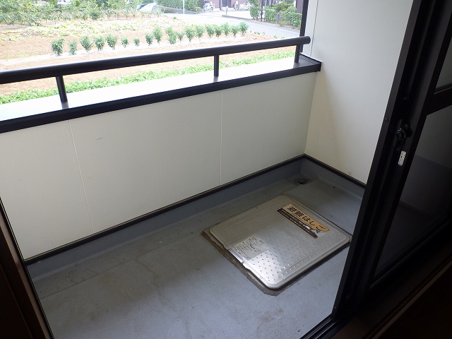Balcony. Veranda