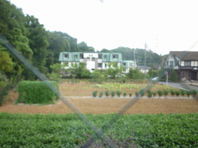 Other. View
