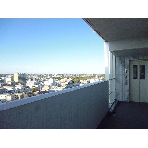 View