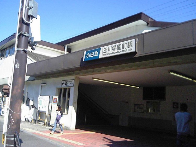 Other