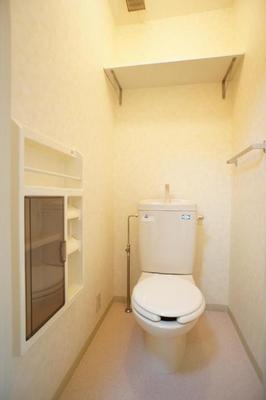Toilet. What you need in the toilet Yes to set up a shelf in the toilet in the toilet