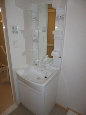 Washroom. There washbasin independent