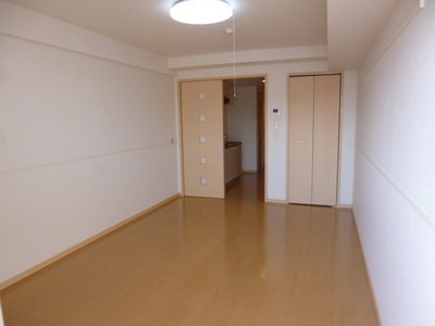 Living and room. Clean room