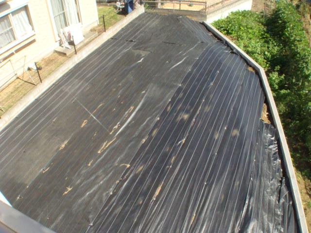 Garden. Local (September 2013) Shooting