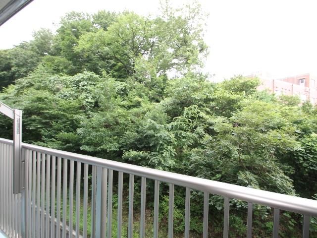 View photos from the dwelling unit. View from Sol Grande Mates Tamasakai Green Court balcony