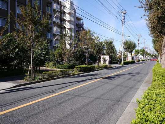 Local appearance photo