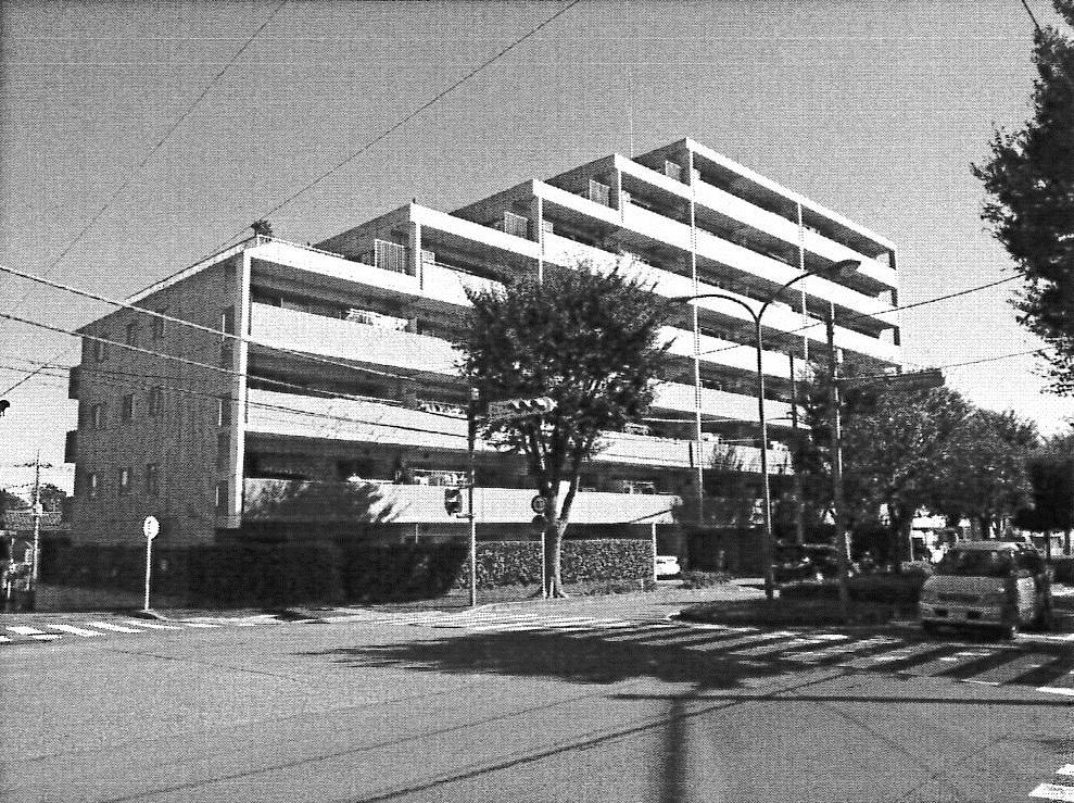 Local appearance photo. Local (10 May 2013) Shooting