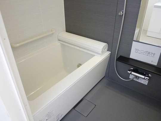 Bathroom. Unit bus with Panasonic Air Heating dryer, New replaced.