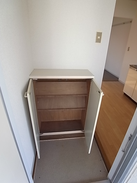 Entrance. Shoe box