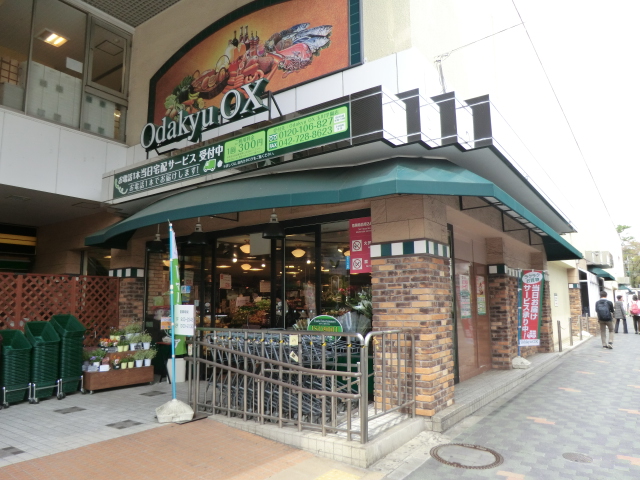 Supermarket. 500m to Odakyu OX (super)