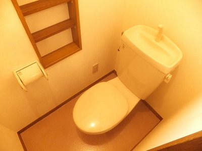Toilet. Toilet