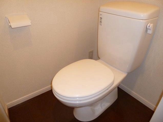 Toilet. Reference room photo