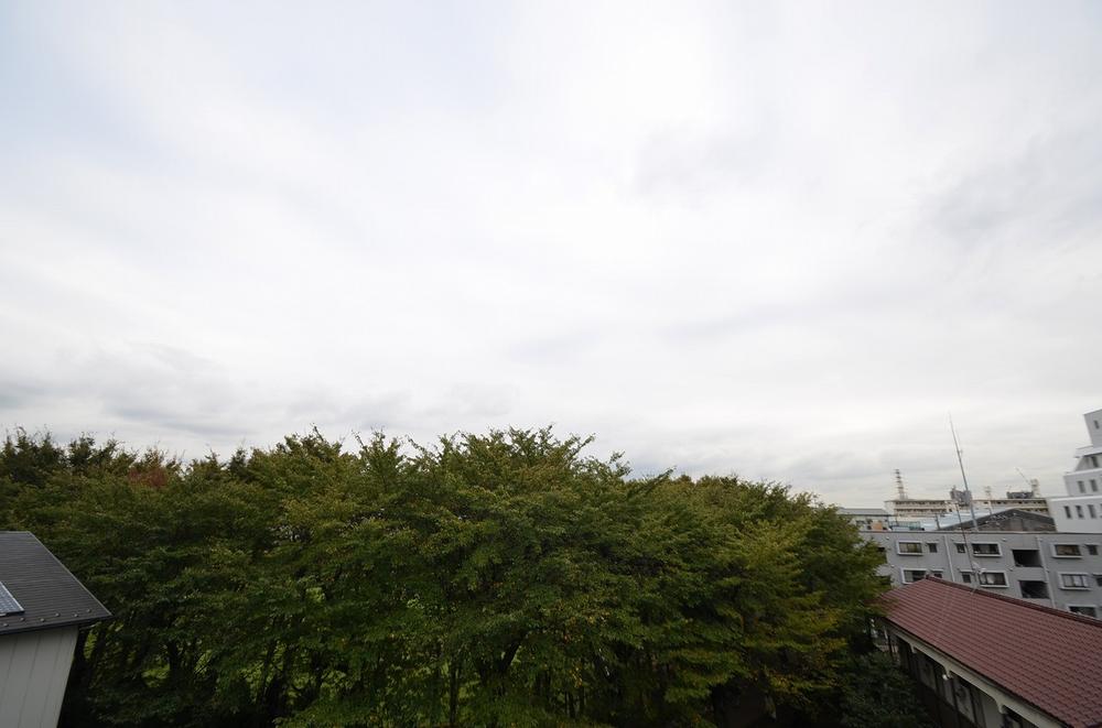 Other. View from the balcony