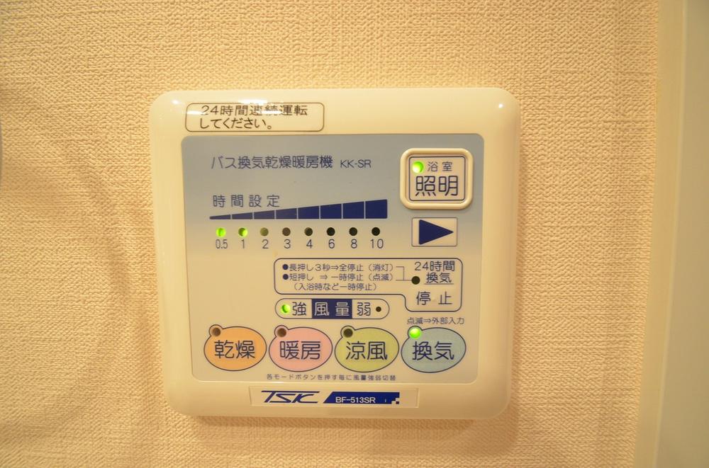 Other. It is with a bathroom dryer!