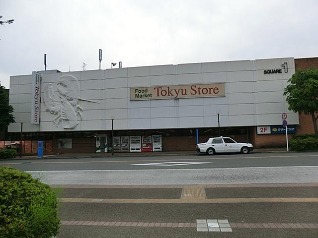 Shopping centre. Tokyu Store Chain 800m to the store of horsetail
