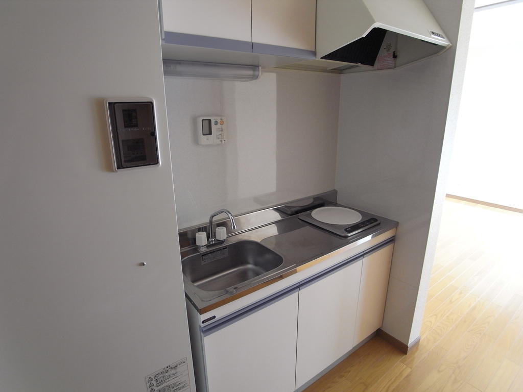 Kitchen. IH stove