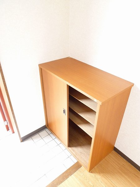 Other. Shoebox