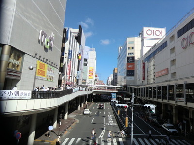 Other. 500m to Machida Station (Other)