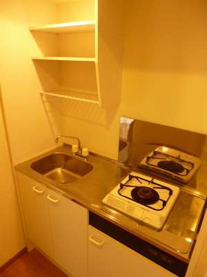 Kitchen. Draining with a shelf of a kitchen