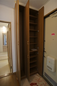 Entrance. Shoe box