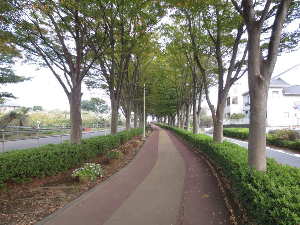 Streets around. It is recommended to 150m early in the morning of walking and walk course to ridge green road. Also in the spring it will be the tunnel of cherry blossoms.
