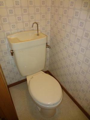 Toilet. Toilet