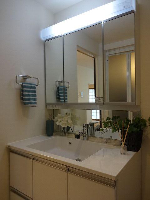 Wash basin, toilet. Bathroom vanity