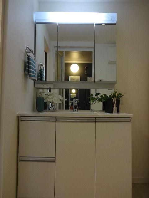 Wash basin, toilet. Bathroom vanity