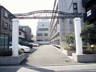 Building appearance