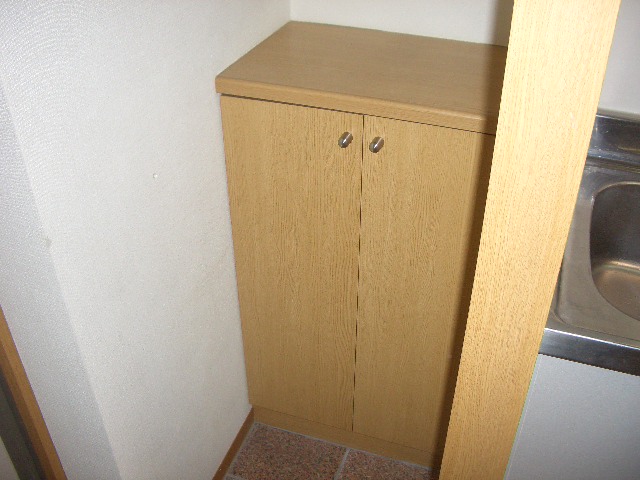 Entrance. Shoes box