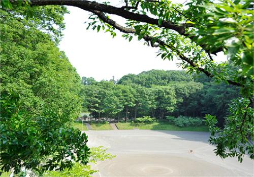 park. 1080m to Tadao Park