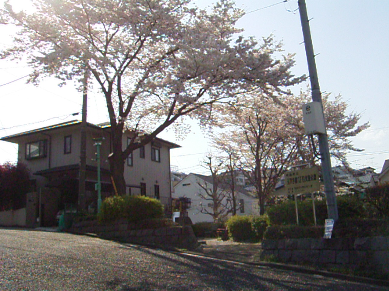 Other. Neighborhood park