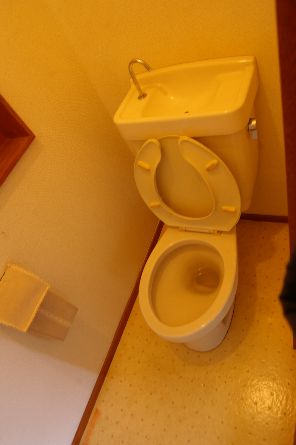 Toilet