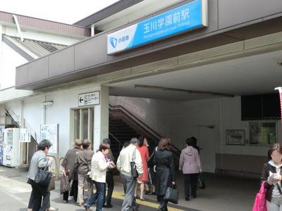 Other. 1000m until Tamagawagakuen Mae (Other)