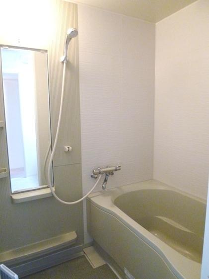 Bathroom. Indoor (10 May 2013) Shooting